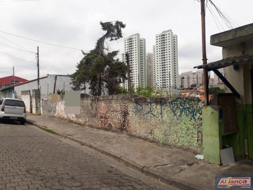 Imagem 14 de 15 de Terreno À Venda, 788 M² - Vila Moreira - Guarulhos/sp - Ai12044