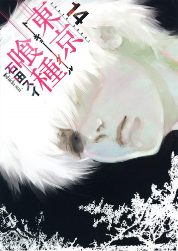 Manga Japones Tokyo Ghoul Ishida Sui 14 Gastovic Anime Store