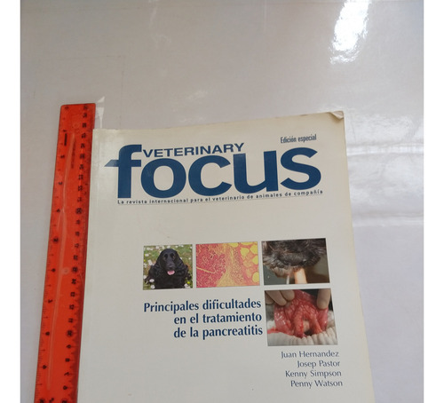 Veterinary Focus Juan Hernández Ed Royal Canin (Usado)
