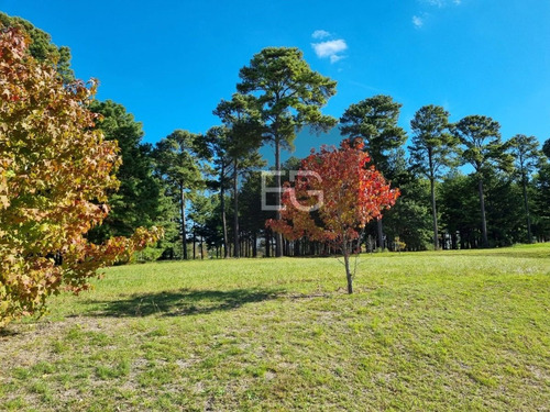 Imagen 9 de 16 de Lotes 1500 M2 Barrio Pinares Exaltación De La Cruz