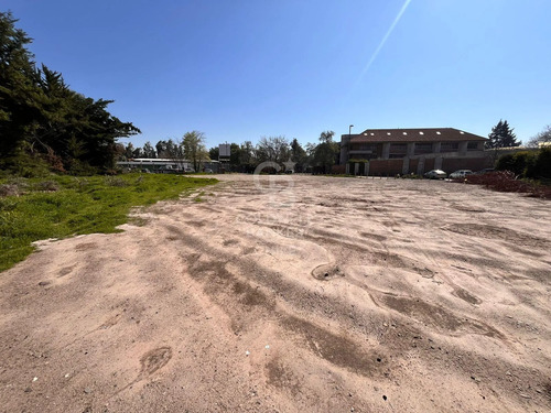 Sitio Comercial Sector El Algarrobal I.