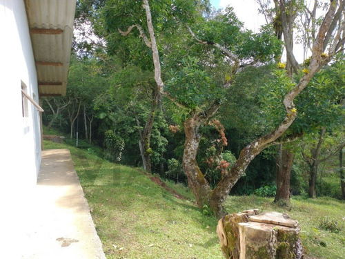 Imagem 24 de 30 de Sítio De 3,5 Alqueires, Excelente Localização! Com Área Aberta Para Criação Recreativa E Mata Nativa Para Trilha E Caminhada.. - 237 - 69821549