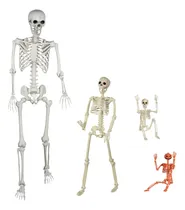 Comprar Esqueletos De Tamaño Real De Halloween De 5.4 Pies, Esquelet