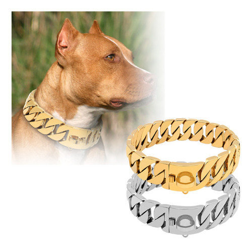 Collar De Trabajo Pitbull Dog - Plata Oro