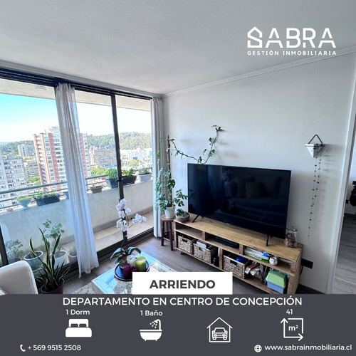 Arriendo Departamento En Centro De Concepción