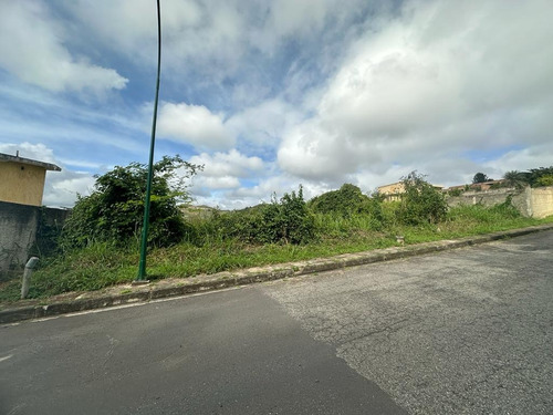 Se Vende Parcela Parcialmente Plana En Bosque De La Laguita Vi Mls #24-14479