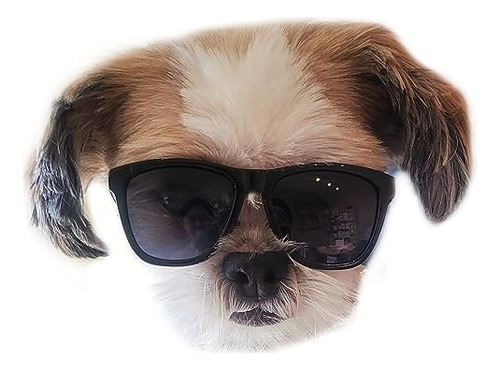 Gafas De Sol G014 Dog Pet 80s Para Perros Pequeños De Hasta