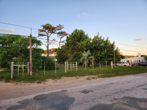 Solar 1675 M2, Con 2 Casas, Parque 1000 M2, Todo En 1 Padron