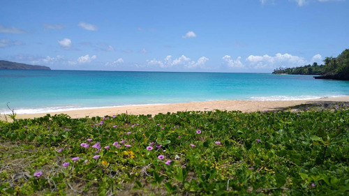 Vendo 1.500.000 Metros En La Galera De Samana En La Playa