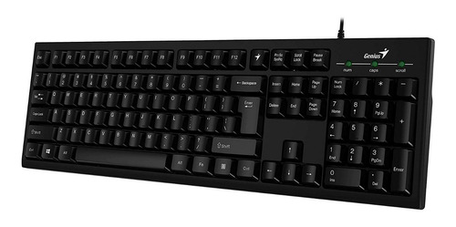 Teclado Genius Kb 100 Usb Revogames 