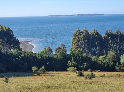 Terreno En Chiloe - Reserva Chucao