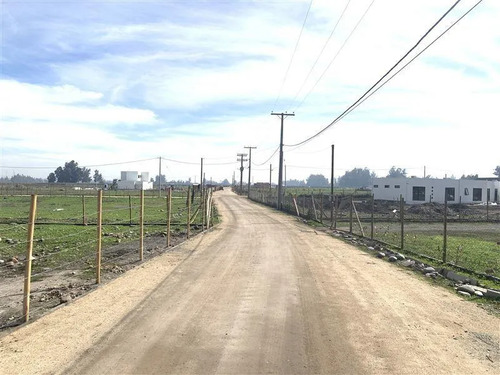Vendo Parcelas De 5000 M2 En El Mejor Sector De Talagante