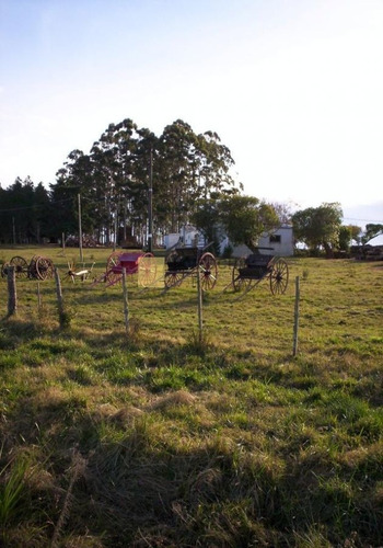 Imagen 5 de 13 de Venta De Chacra De 3has En Ruta 12