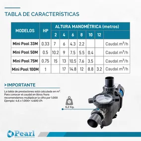 Bomba Autocebante Pearl Mini Pool 75 M Pileta Motorarg