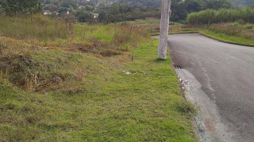 Terreno À Venda, 390 M² Por R$ 169.000,00 - Itoupava Central - Blumenau/sc - Te0276