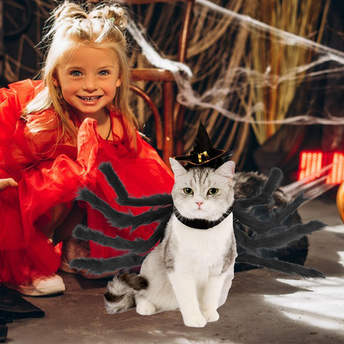 Disfraz De Araña Para Mascotas Disfraz De Araña Para Gatos R