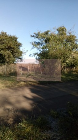 Imagen 3 de 4 de 8 Héctareas En Gral. Madariaga