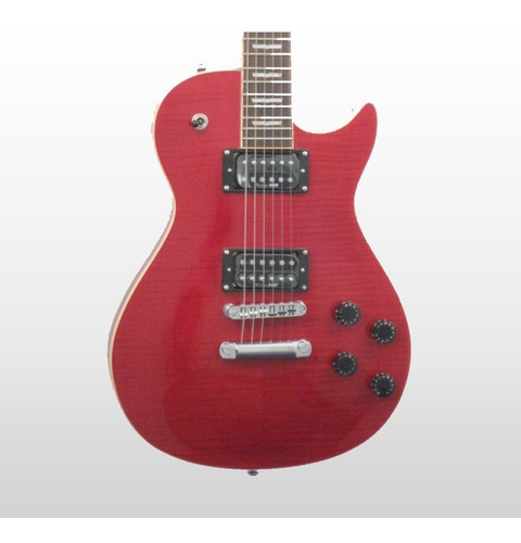 Guitarra Electrica Les Paul Washburn Winstd Mics Duncan