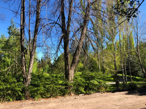 Imagen 27 de 30 de Exclusivo Lote 5018 M2 Con Costa Lago Nahuel Huapi, V. La Angostura,apto 3 Uf