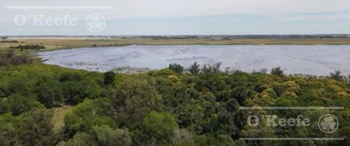Campo En Venta En Lezama - 530 Has. Ideal Turismo Rural Con Laguna. Pesca - Retasado