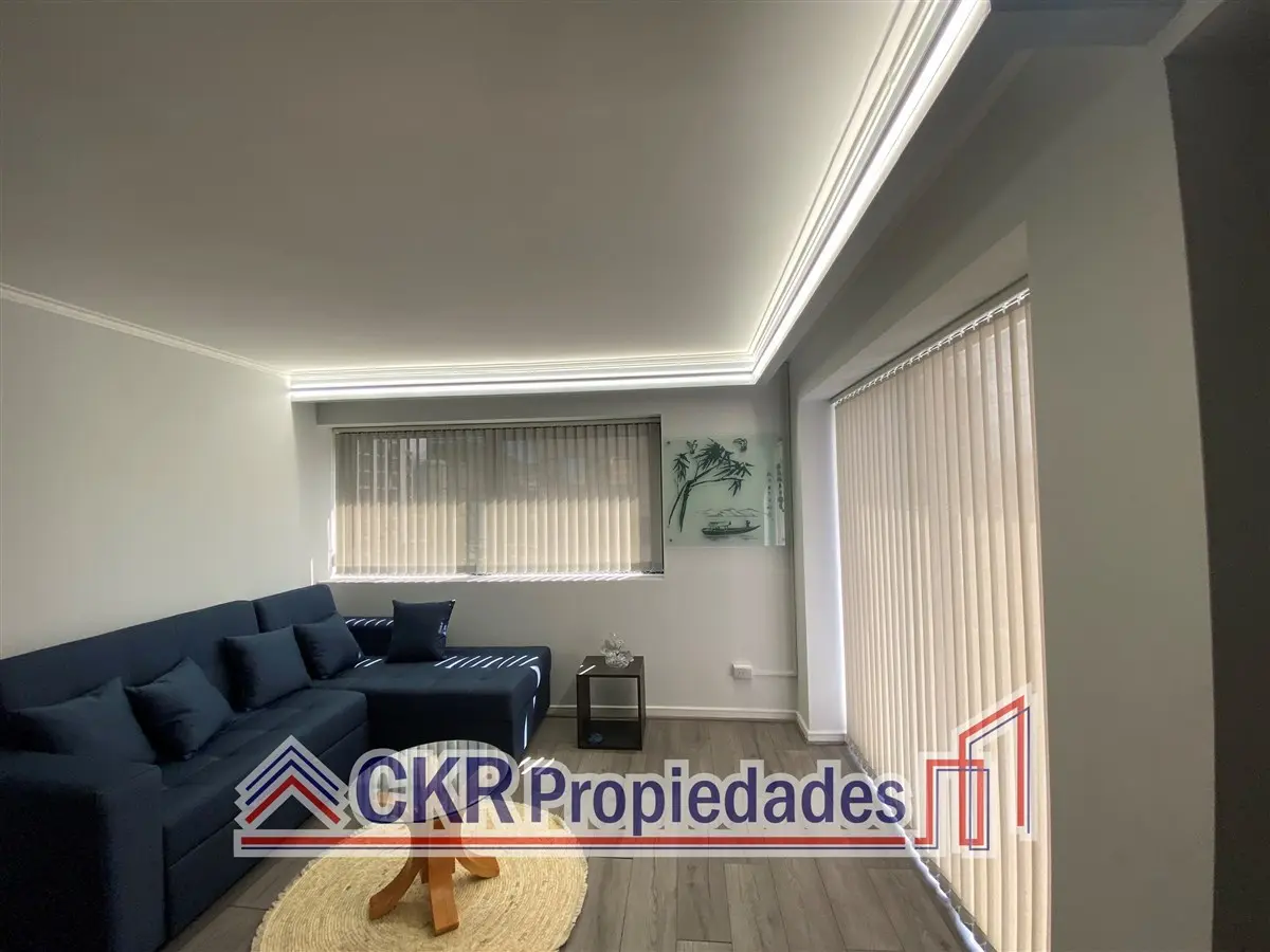 Imagen 4 de 18 de Departamento En Arriendo De 1 Dorm. En Providencia