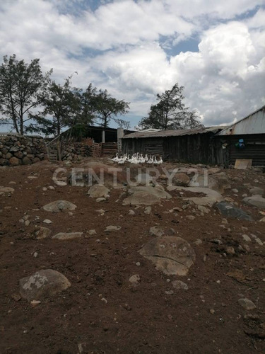 Imagen 13 de 24 de Se Vende Rancho En Hidalgo Para Inversionistas