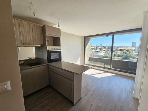 Departamento En Arriendo De 1 Dorm. Y 1 Baño, En Coquimbo