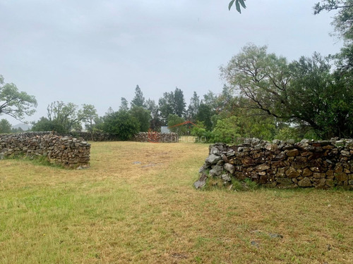 Chacra De 5 Has Con Importante Casa En Pueblo Edén, Ruta 12, Olivos Y Monte Nativo- Ref: 26793