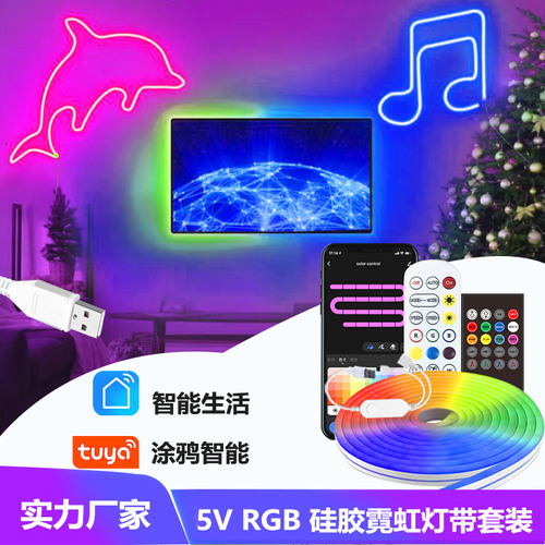 Luz De Neón Led De Silicona Rgb Usb Resistente Al Agua
