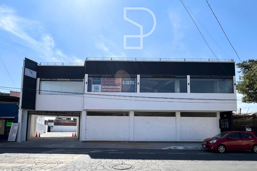 Renta De Gran Local En Nueva Plaza En Texcoco