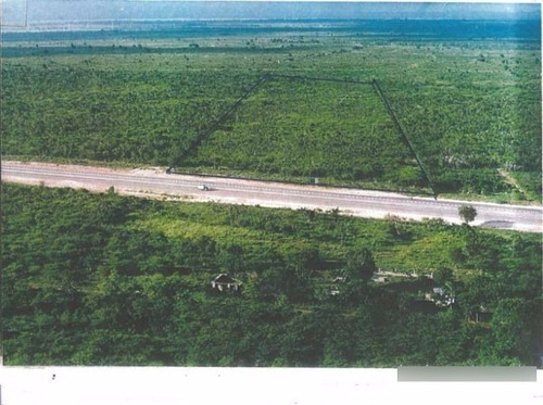 Juan Dolió Boca Chica Romana 6,000,000 Metros