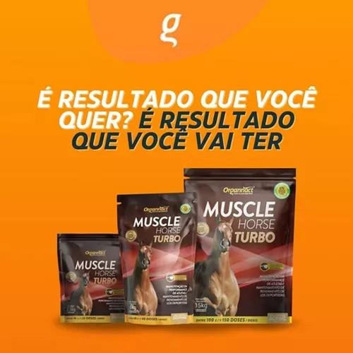 Kit 2 Unidades Muscle Horse Turbo Box2,5kg-organnact