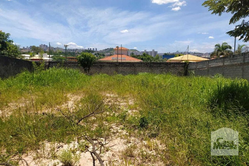 Imagem 6 de 10 de Lote À Venda No Bandeirantes - Código 278049 - 278049