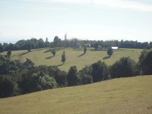 Agrícola En Venta En Lago Ranco