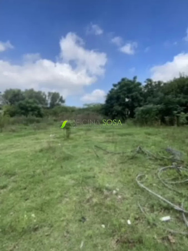 8000 Metros De Terreno. A Metros De Luis Batlle Berres