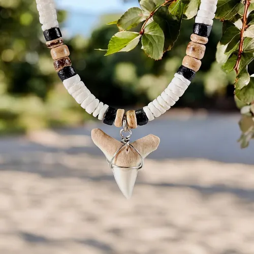 Collar De Cuentas De Concha De Coco Marrón Tigre Y Diente De