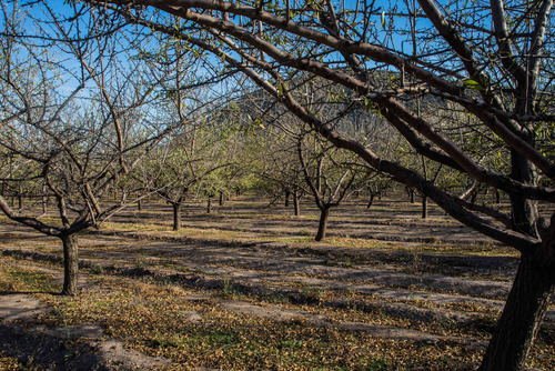 Terreno En San Juan De Pirque
