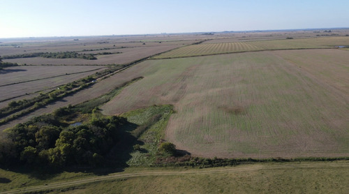 Campo Agricola De 21.5 Has En Corrales (antelo)