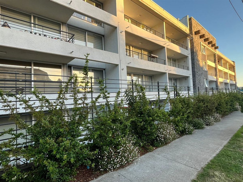 Depto. En Arriendo De 1 Dorm. En Calle Llanquihue P Varas