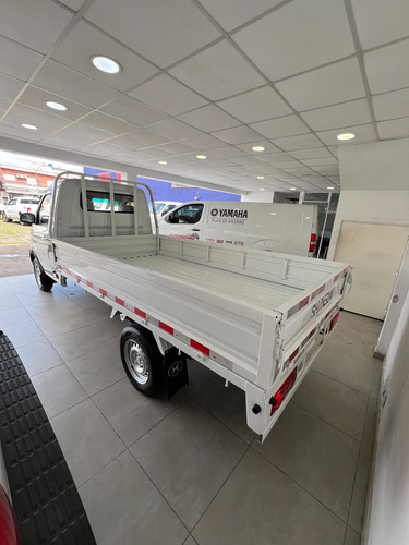 Shineray T30 T30 Minitruck Cab Simple