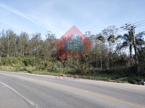 Imagem 6 de 8 de Terreno - Ref: 00430