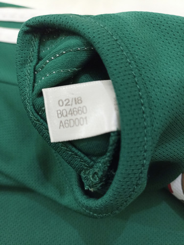 Jersey México Fan 2018 (Usado)