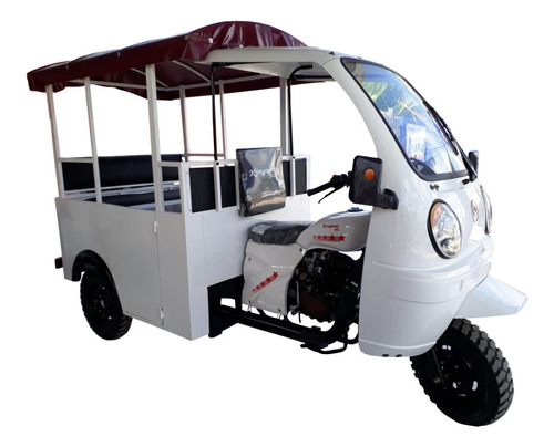Mototaxi Gasolina Con Puertas 5 Pasajeros 2023 Trimoto 250cc