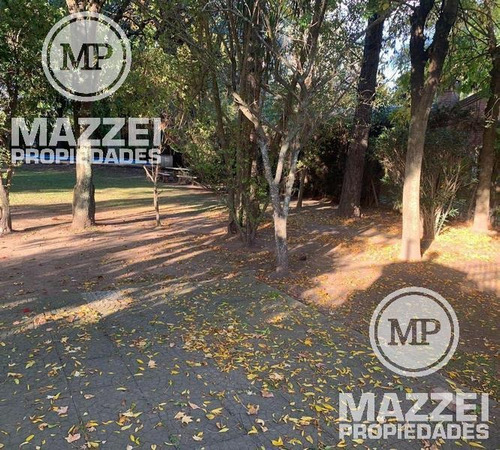Imagen 3 de 14 de Los Mirasoles