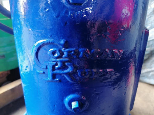 Imagen 3 de 10 de Bombas Sumergibles Gorman Rupp