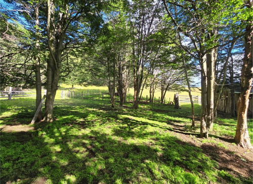 Se Vende Campo De 60 Hectáreas En El Sector Lago Pollux