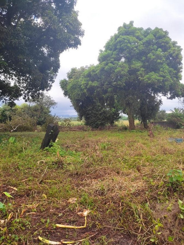 Imagem 2 de 3 de Terreno Para Venda Em Resende, Itapuca - 2022122_1-2374947