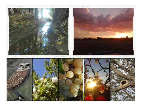 Imagen 4 de 6 de Cabaña Malbec En Finca De 4 Hectáreas