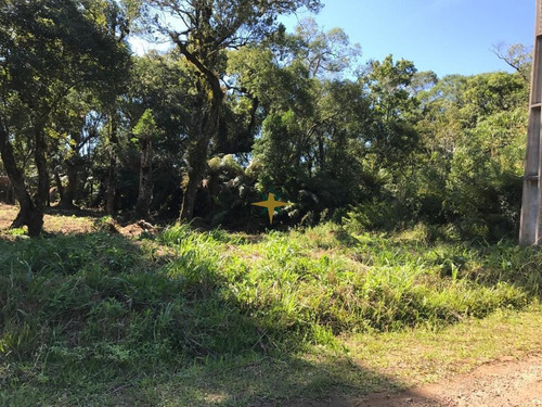 Imagem 1 de 5 de Terreno - 969