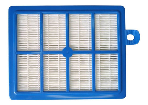 Filtro Hepa Aspirador De Pó Electrolux Usg30 Pfc02 Cyc01